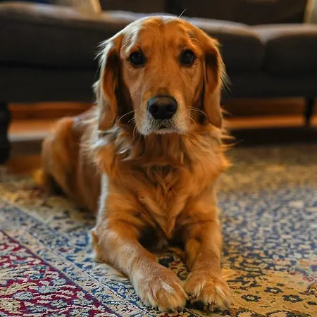 Dimora Valverde Marano di Valpolicella