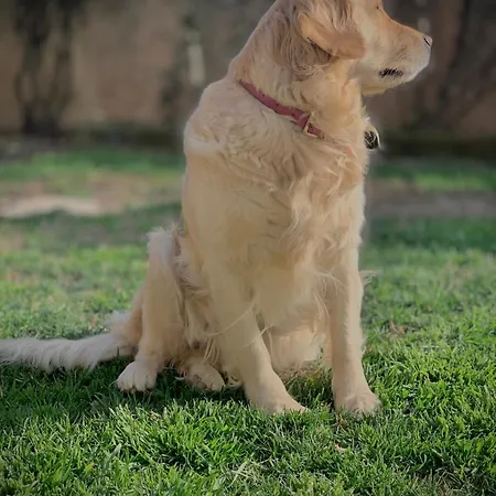 Dimora Valverde ベッド・アンド・ブレックファスト 3*