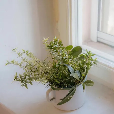 Dimora Valverde Отель типа 