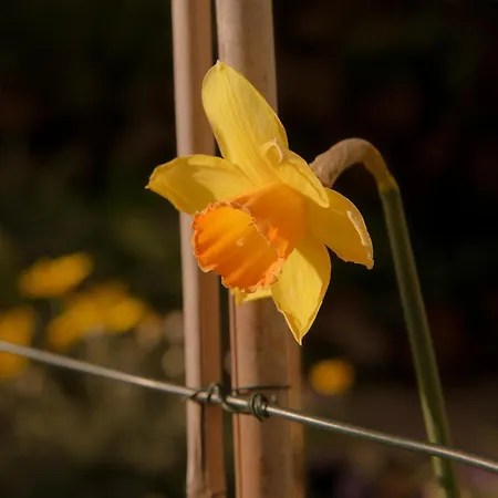 Dimora Valverde ベッド・アンド・ブレックファスト