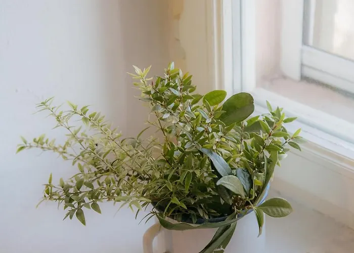 Dimora Valverde Bed & Breakfast