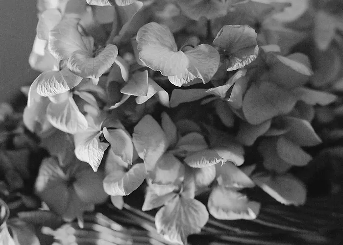 Dimora Valverde Marano di Valpolicella