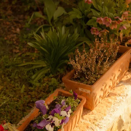 Bed & Breakfast Dimora Valverde