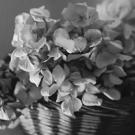 Dimora Valverde Marano di Valpolicella