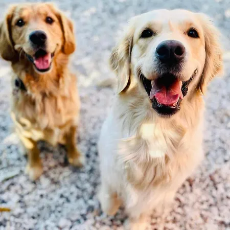 Dimora Valverde Marano di Valpolicella