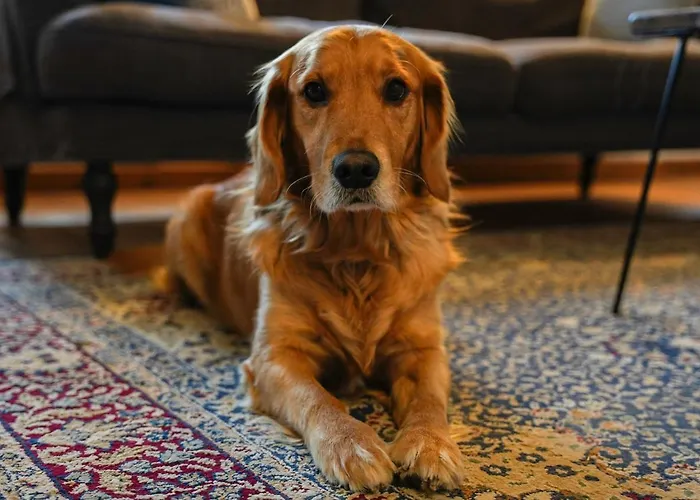 Dimora Valverde Marano di Valpolicella